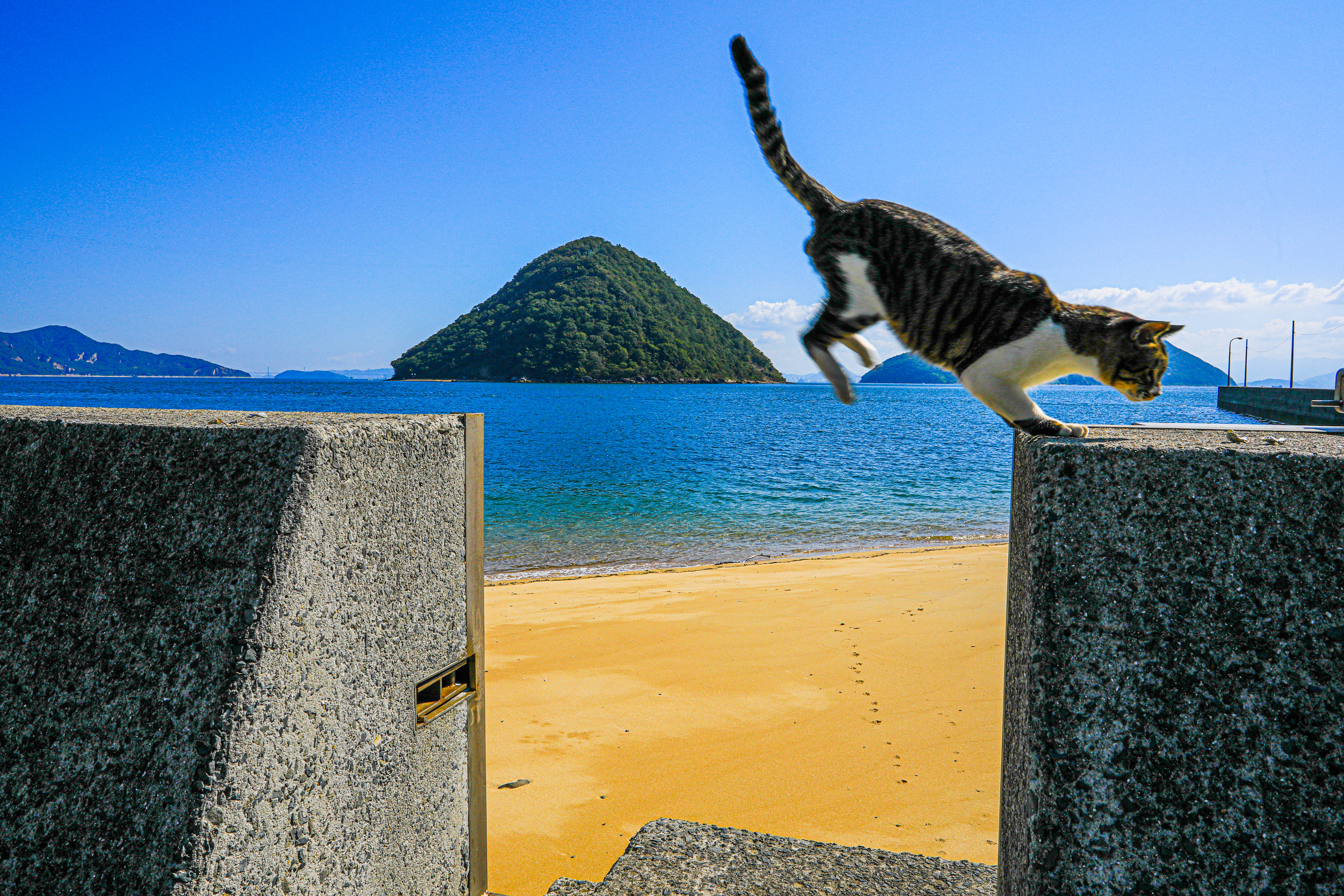 空飛ぶネコ 香川の景観